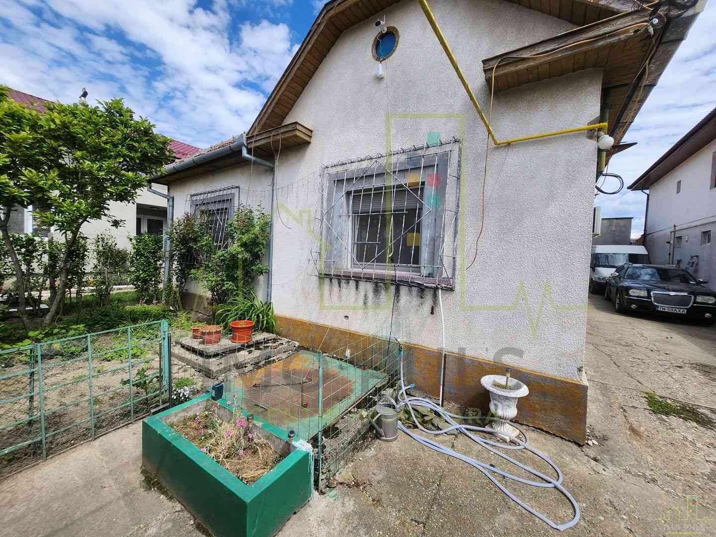 Individuala. Giarmata. Garaj. Pi...