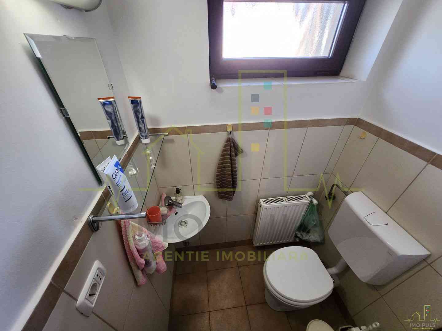 Imaginea 21